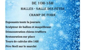 Marché de Noël Villebois-Lavalette le dimanche 30 novembre 2025